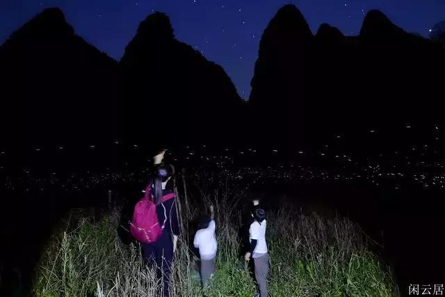 看一眼就弃剧的10大烂片,部部如坐针毡