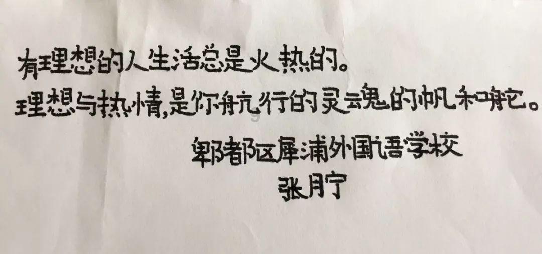 眼镜蛇秘密行动