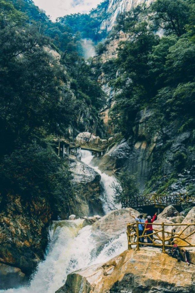 铁笼中的小鹿逃脱