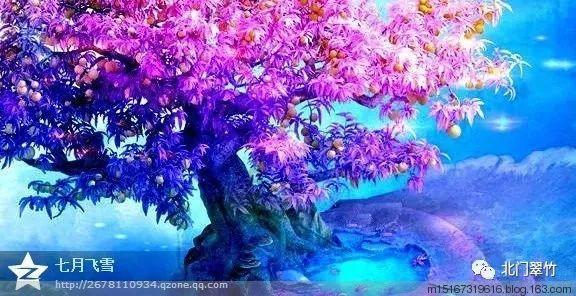 独眼方块的冒险