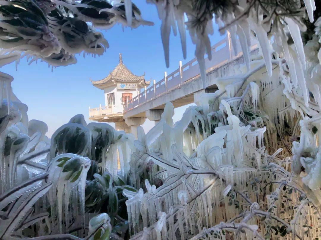 神秘的岛屿